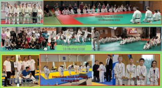 Image de l'actu 'TEMPS FORTS du Truyes Judo Club de décembre 2024 à Avril 2025'