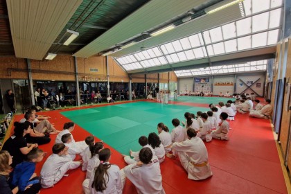 Fête du Judo Club de Truyes 2024