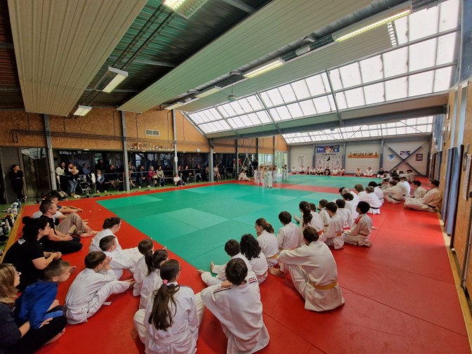 Image de l'actu 'Fête du Judo Club de Truyes 2024'